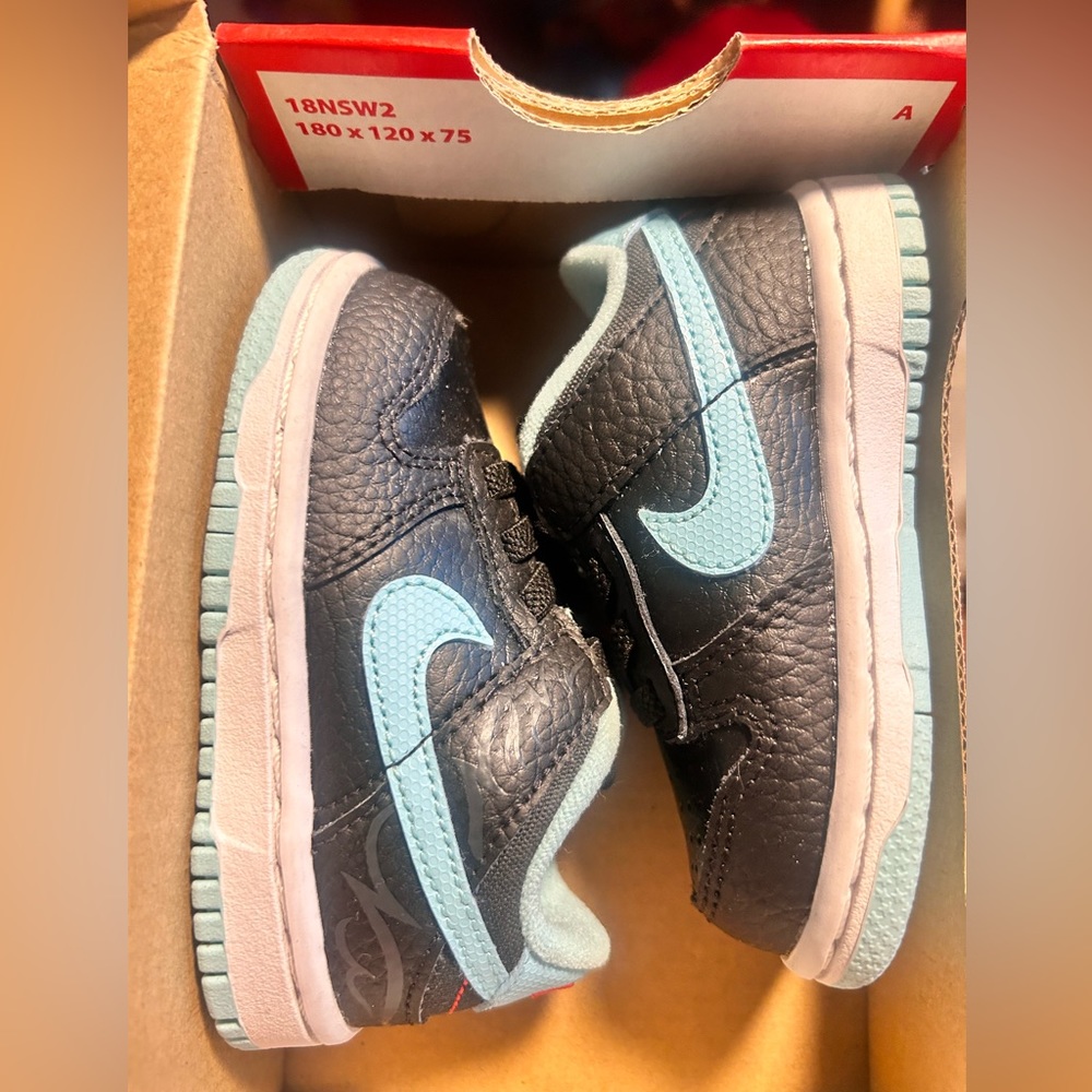Nike dunks low Se (TDE)